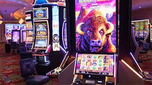 522bet8